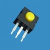 ZB202-31-2-Y手電筒開(kāi)關(guān)