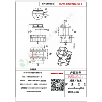ER2501（5+5）-1變壓器骨架